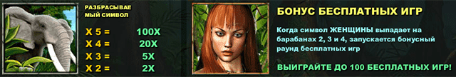 Бонусы игрового автомата Джунгли.